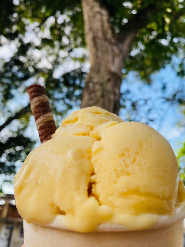 Crema Helado de Chontaduro
