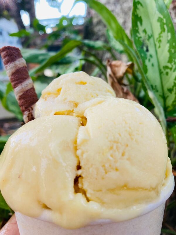 Crema Helado de Araza